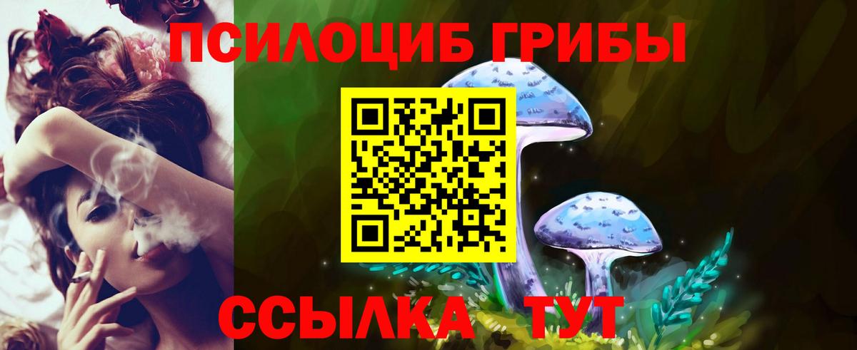 Псилоцибиновые грибы Psilocybe  Псилоцибиновые грибы GOLDEN TEACHER  наркошоп  Вход с VPN  Находка 